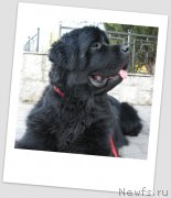 Превью фото № 123001