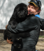 Превью фото № 123012