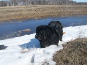 Превью фото № 123024