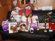 Превью фото № 123083