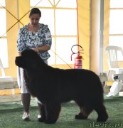 Превью фото № 123107