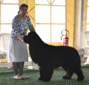 Превью фото № 123108