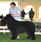 Превью фото № 123109