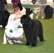 Превью фото № 123112