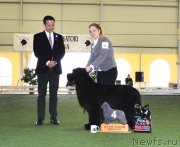 Превью фото № 123127