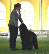 Превью фото № 123128