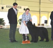 Превью фото № 123137