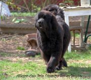 Превью фото № 123148