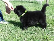 Превью фото № 123158