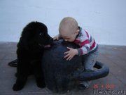 Превью фото № 123238