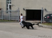 Превью фото № 123254