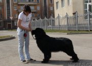 Превью фото № 123256