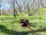 Превью фото № 123264