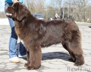 Превью фото № 123336