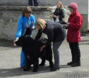 Превью фото № 123522