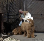 Превью фото № 123559