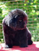 Превью фото № 123656