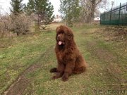 Превью фото № 123673