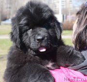 Превью фото № 123689