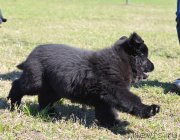 Превью фото № 123703