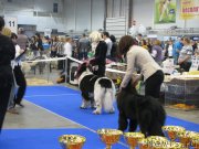 Превью фото № 123705