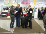 Превью фото № 123719