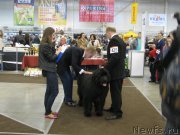 Превью фото № 123720