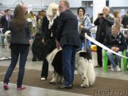 Превью фото № 123726