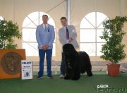 Превью фото № 123733