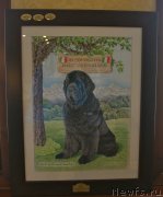 Превью фото № 123734