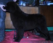 Превью фото № 123750