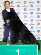 Превью фото № 123779