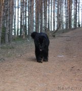 Превью фото № 123783