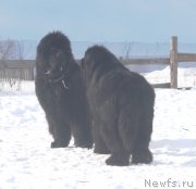 Превью фото № 123839