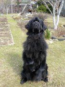 Превью фото № 123840