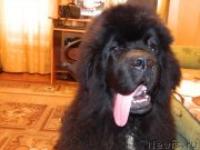 Превью фото № 123843