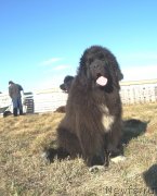 Превью фото № 123862