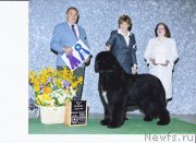 Превью фото № 123919