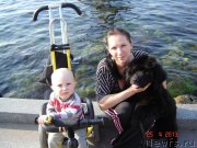 Превью фото № 123927