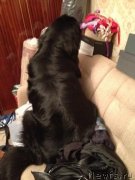 Превью фото № 124098