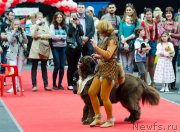 Превью фото № 124141