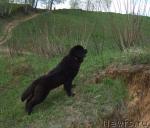 Превью фото № 12417