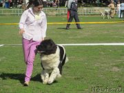 Превью фото № 124187