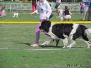 Превью фото № 124188