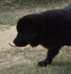 Превью фото № 12419