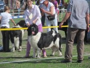 Превью фото № 124191