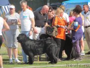 Превью фото № 124192