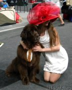 Превью фото № 124272