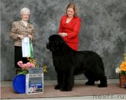 Превью фото № 124274