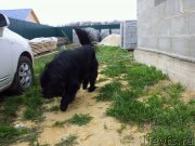 Превью фото № 124288